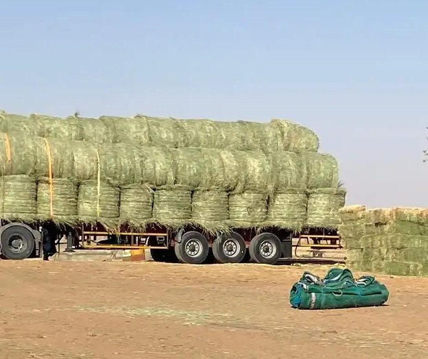 Agro-Farming and Livestock Cargo Fleet Logistics Saudi Arabia
