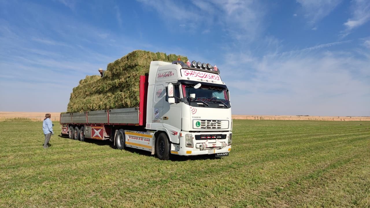 Lorry Truck Transportation Services for Agricultural Feed
