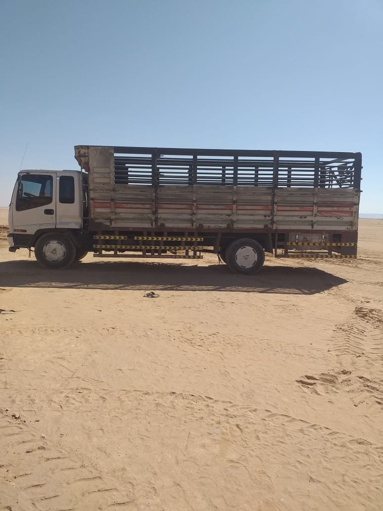 Lorry Truck for Quick Services
